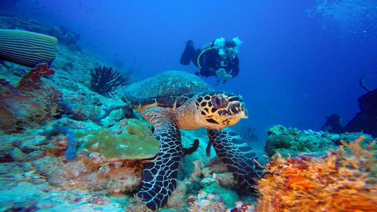 Готель Club Kaafu Maldives Дгіффуші Екстер'єр фото